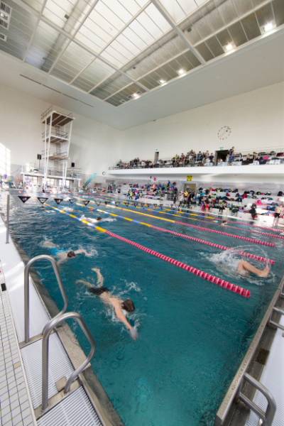 KWG20190045