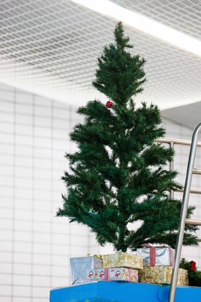 DU0R7655pf (Achim Stoltes in Konflikt stehende Kopie 2016-12-16)