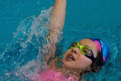 DU0R7680pf (Achim Stoltes in Konflikt stehende Kopie 2016-12-16)