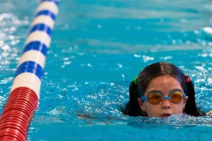 DU0R7721pf (Achim Stoltes in Konflikt stehende Kopie 2016-12-16)