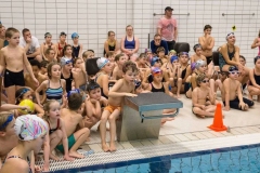 DU0R7938pf (Achim Stoltes in Konflikt stehende Kopie 2016-12-16)