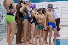 DU0R7963pf (Achim Stoltes in Konflikt stehende Kopie 2016-12-16)