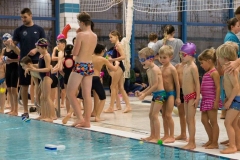 DU0R8030pf (Achim Stoltes in Konflikt stehende Kopie 2016-12-16)